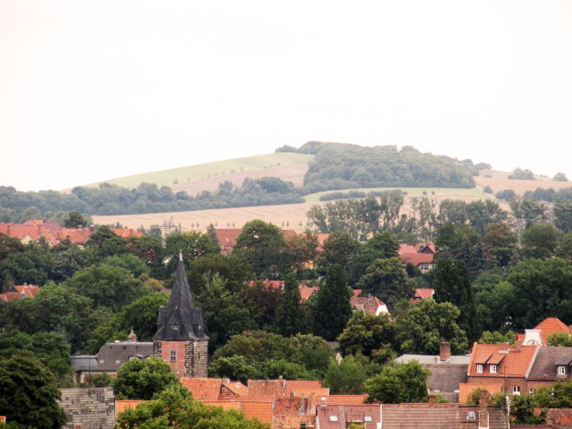 Quedlinburg aus der Sicht des Turmfalken