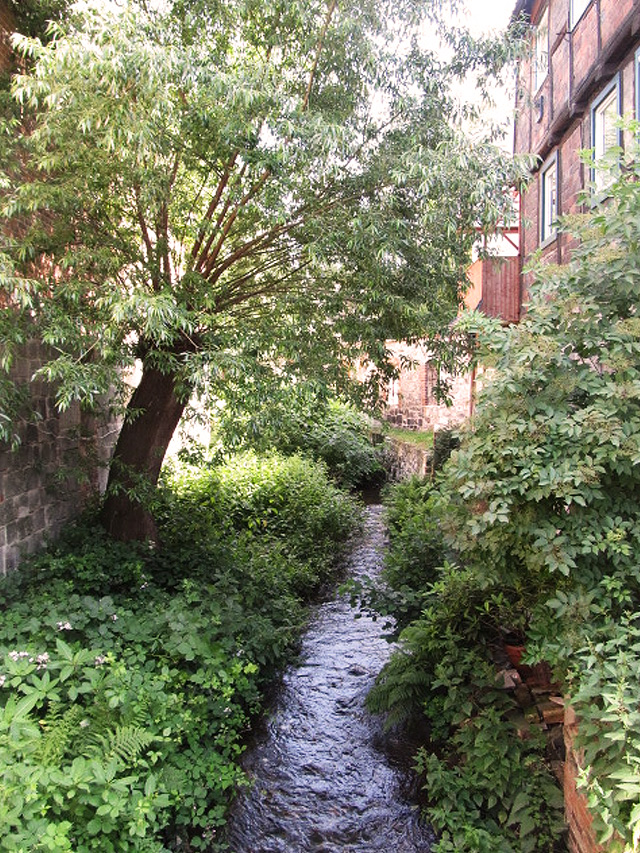 Quedlinburg aus der Froschperspektive